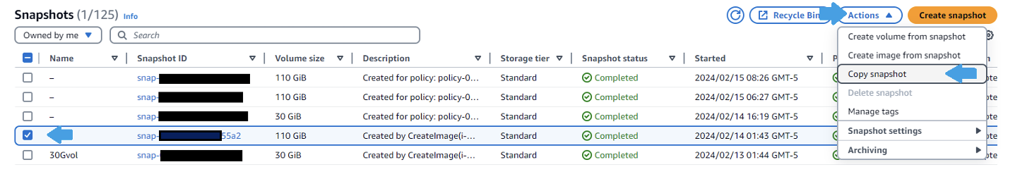 Screenshot showing EC2 Snapshot view interface in AWS console